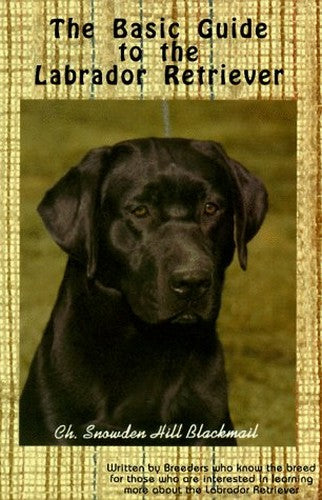 Labrador