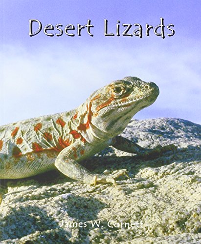 Desert Lizards