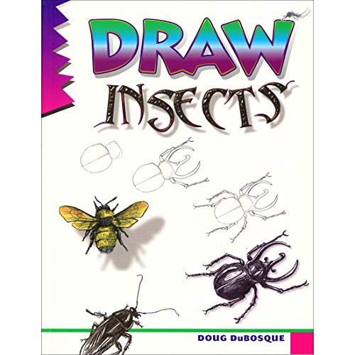 Draw Insects