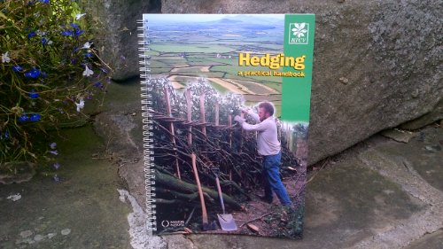 Hedging