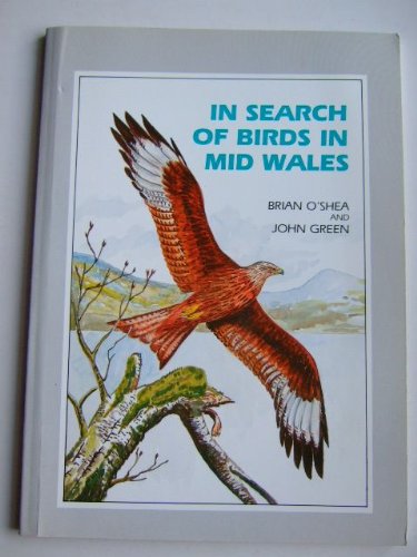 In Search of Birds in Mid-Wales
