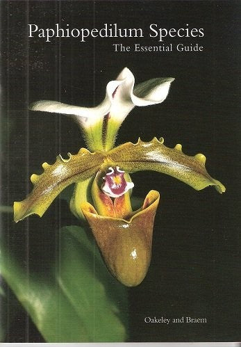 Paphiopedilum Species - the Essential Guide