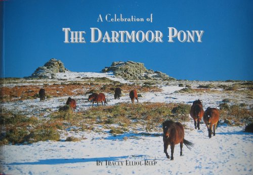 A Celebration of the Dartmoor Pony