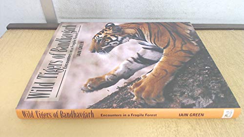 Wild Tigers of Bandhavgarh