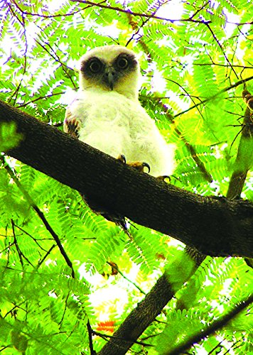 Strange Attractor Journal Three