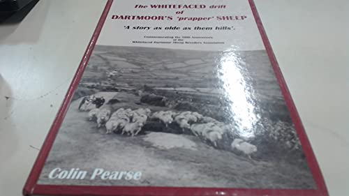 The Whitefaced Drift of Dartmoors Prapper Sheep