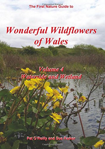 Wonderful Wildflowers of Wales