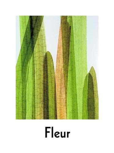 Fleur