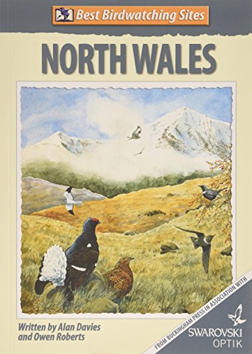 Best Birdwatching Sites in North Wales