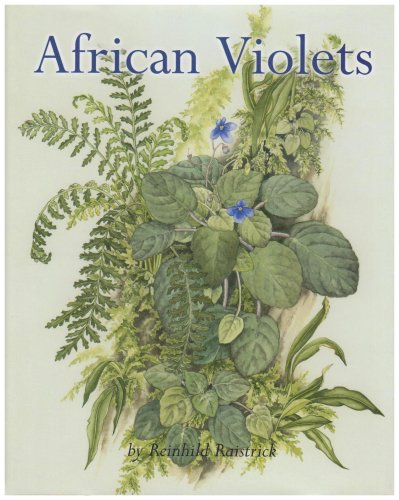 African Violets