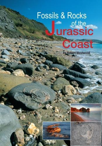 Fossils and Rocks of the Jurassic Coast
