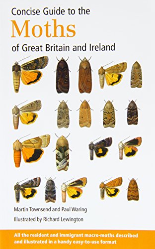 Concise Guide to the Moths of Great Britain and Ireland