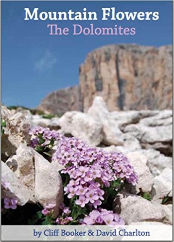 Mountain Flowers the Dolomites