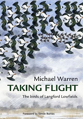 Taking Flight