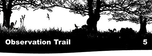 Discover Nature Awareness
