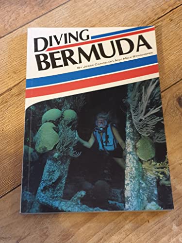 Diving Bermuda
