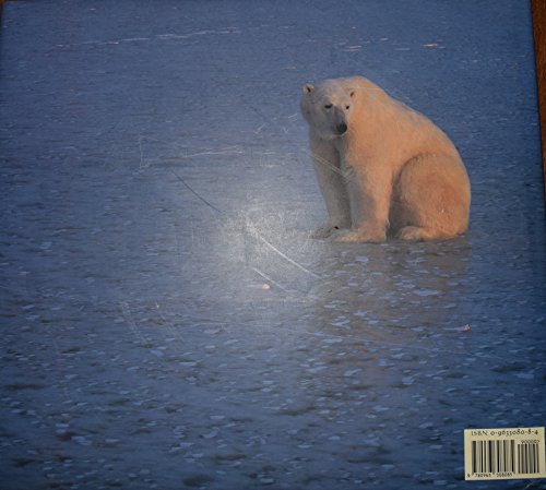 Polar Dance