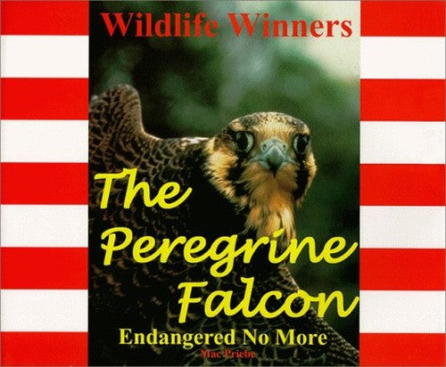 The Peregrine Falcon