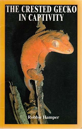Crested Gecko in Captivity