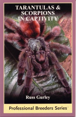 Tarantulas And Scorpions in Captivity (Professional Breeders)