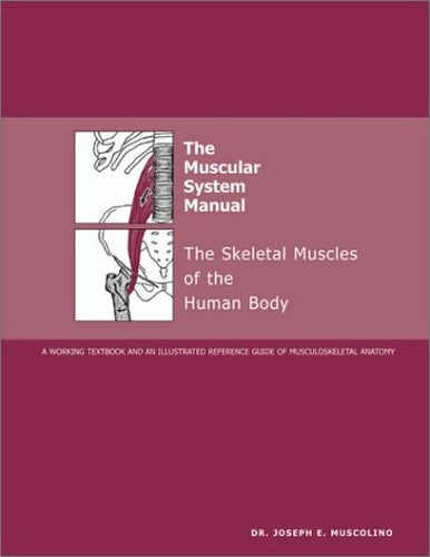 The Muscular System Manual