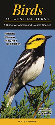 Birds of Central Texas