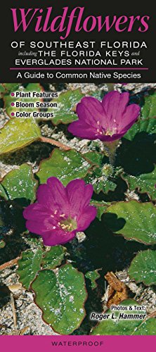 Wildflowers of Southeast Florida Including the Florida Keys & Everglades National Park