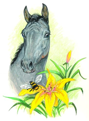 Shadow: The Curious Morgan Horse