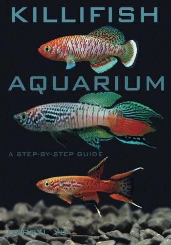 Killifish Aquarium, A Step-By-Step Guide