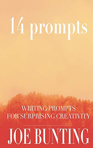 14 Prompts