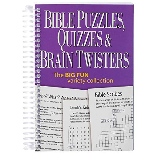 Bible Puzzles, Quizzes & Brain Twisters