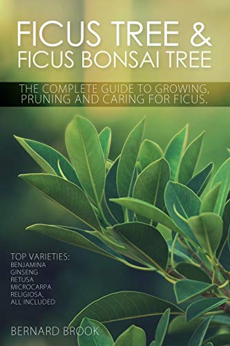 Ficus Tree and Ficus Bonsai Tree - The Complete Guide to Growing, Pruning and Caring for Ficus
