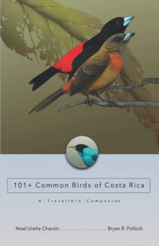 101+ Common Birds of Costa Rica: A Traveller’s Companion