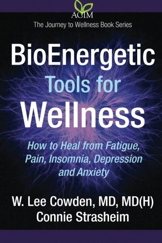 BioEnergetic Tools for Wellness (The Journey to Wellness)