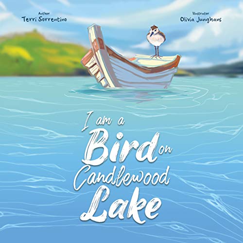 I Am A Bird on Candlewood Lake