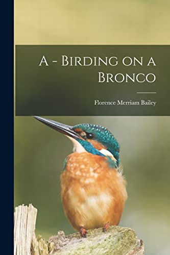 A - Birding on a Bronco