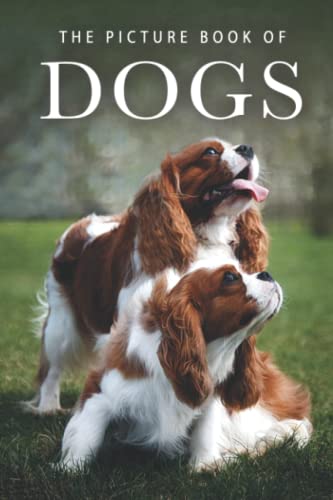 The Picture Book of Dogs