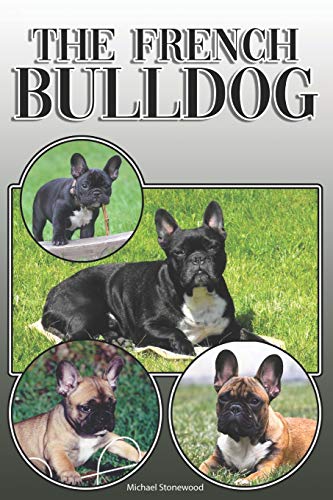The French Bulldog
