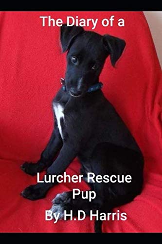 The Diary of a Rescue Lurcher