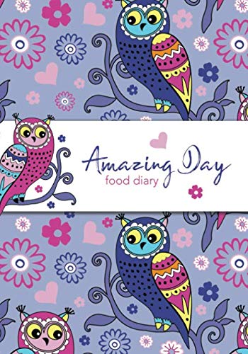 Amazing Day Food Diary: 6 Month Food Diary Compatible with Slimming World Plans - Includes Body Magic Tracker