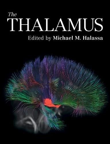 The Thalamus