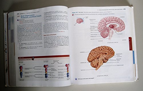 Principles of Anatomy and Physiology