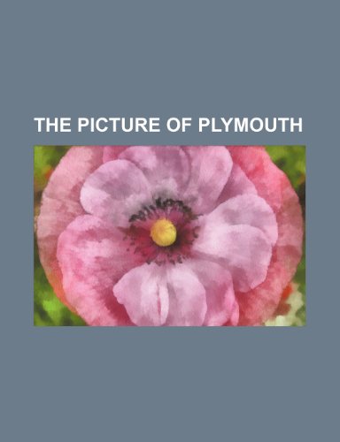 The Picture of Plymouth