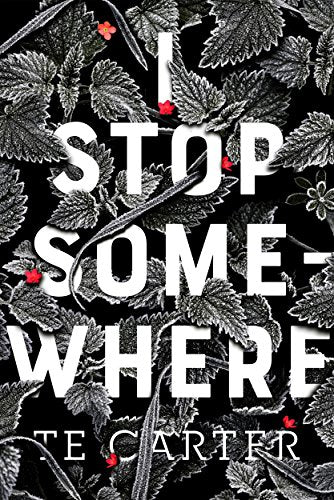 I Stop Somewhere