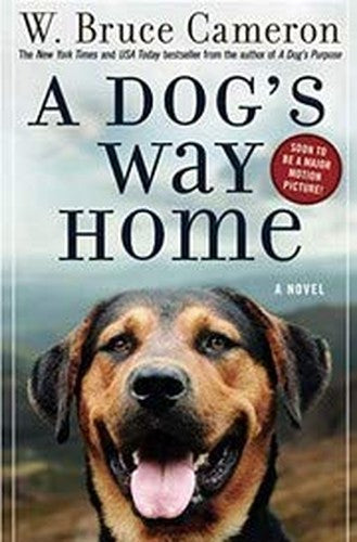 A Dog's Way Home: One Dog's Incredible Journey to Find Her Person