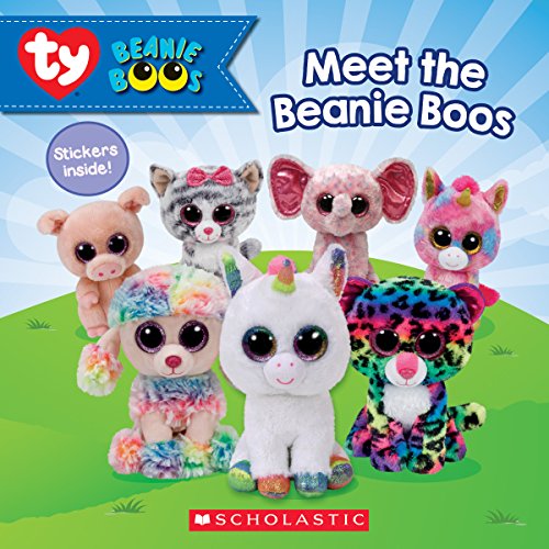 Beanie Boos: Meet the Beanie Boos