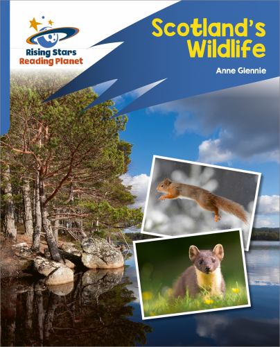 Reading Planet: Rocket Phonics Target Practice Scotland's Wildlife Blue