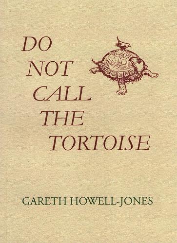 Do Not Call the Tortoise
