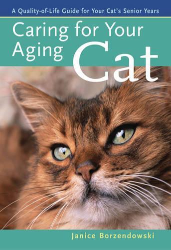 Caring for Your Aging Cat