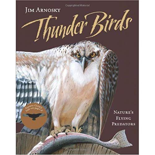 Thunder Birds